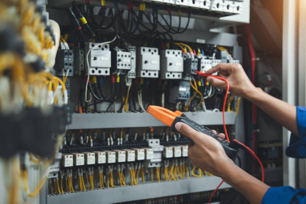 Best Electric Panel Repair  in Savanna, IL