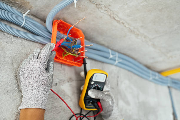 Best Electrical Upgrades for Homes  in Savanna, IL